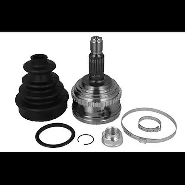 OEM Aks Körük & Kafası