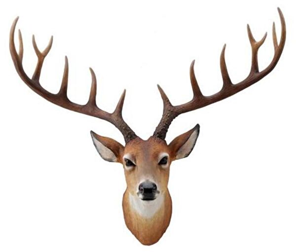 Wise Hediyelik Ürün