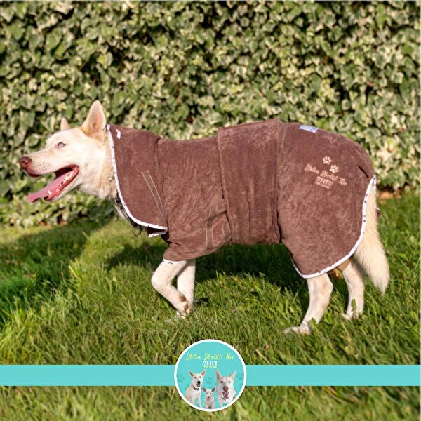 2H1T PET STORE Köpek Elbisesi