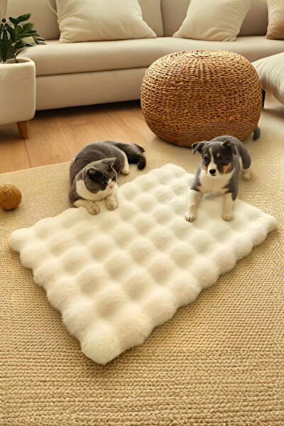 My Evilla Kedi Yatağı