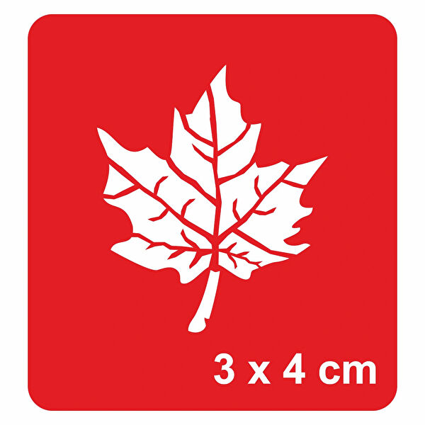 Alsepeteavm Geçici Dövme, Şablonları