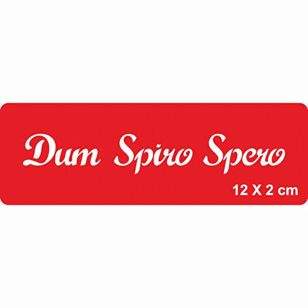 Alsepeteavm Geçici Dövme, Şablonları