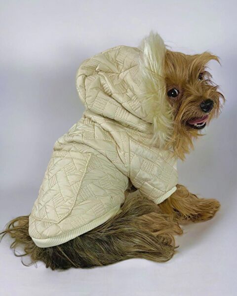 Kemique Köpek Elbisesi