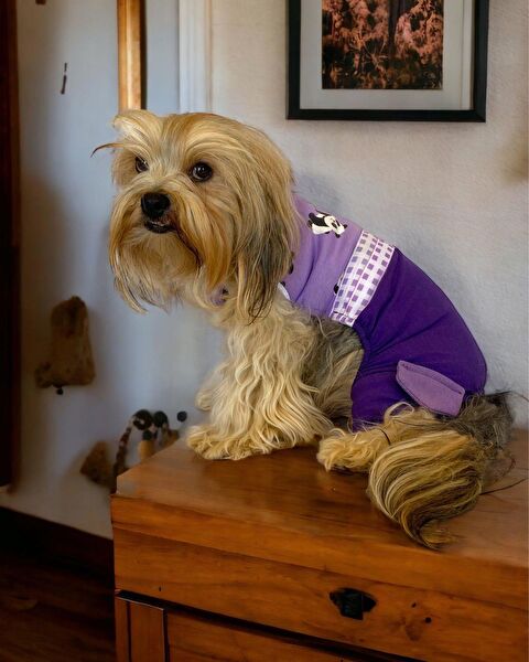 Kemique Kedi Elbisesi