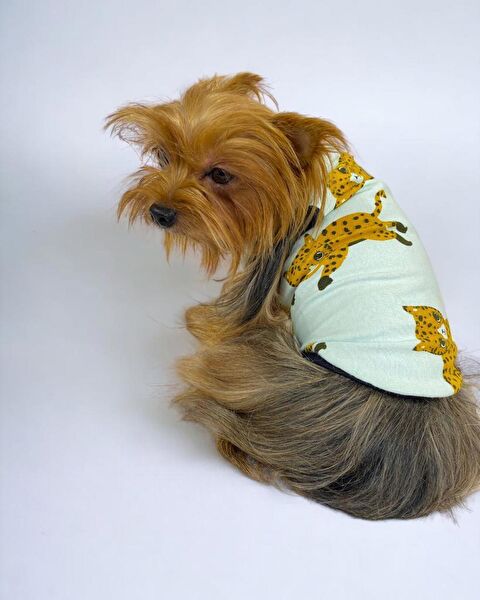 Kemique Köpek Elbisesi