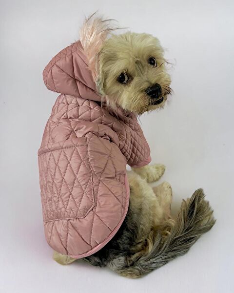 Kemique Köpek Elbisesi