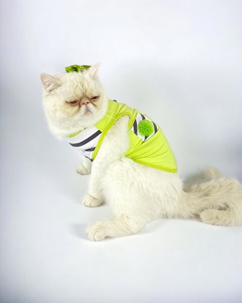 Kemique Kedi Elbisesi