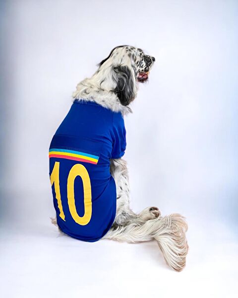 Kemique Köpek Elbisesi