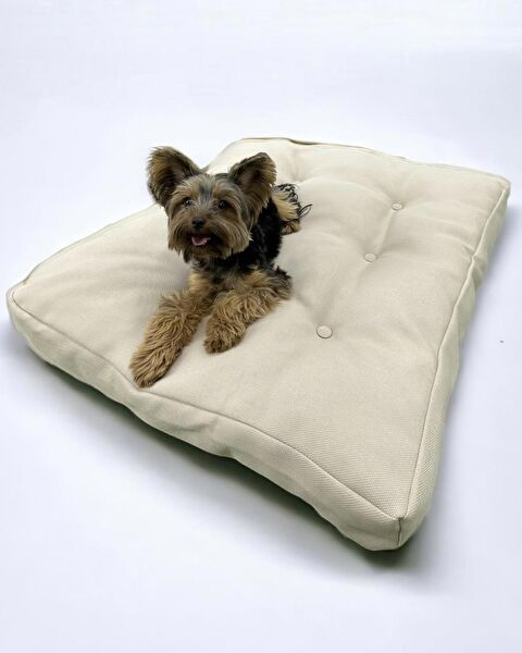 Kemique Köpek Yatağı