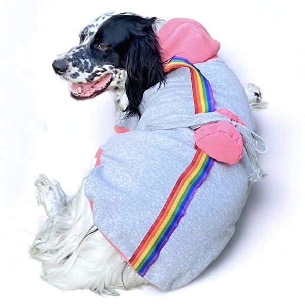 Kemique Köpek Elbisesi