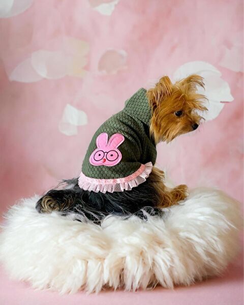 Kemique Köpek Elbisesi