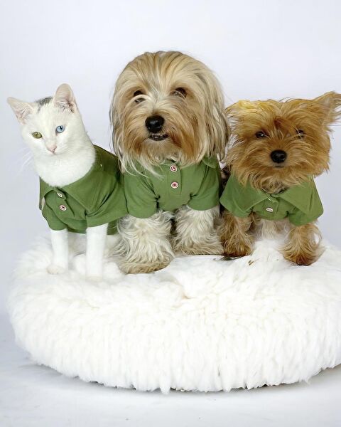 Kemique Köpek Elbisesi