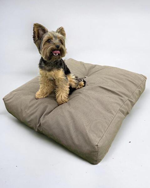 Kemique Köpek Yatağı