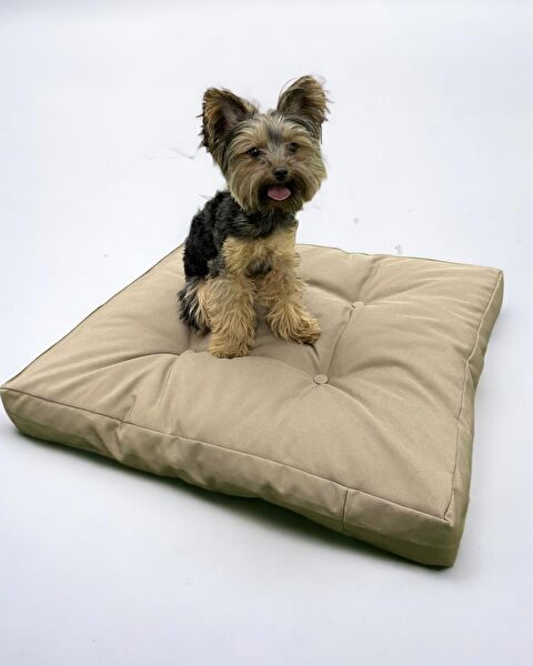 Kemique Köpek Yatağı