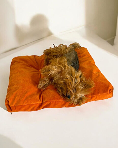 Kemique Köpek Yatağı