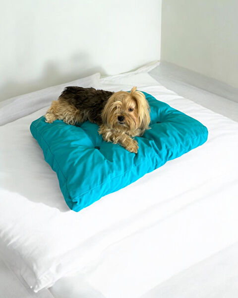 Kemique Köpek Yatağı