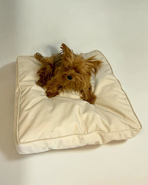 Kemique Köpek Yatağı