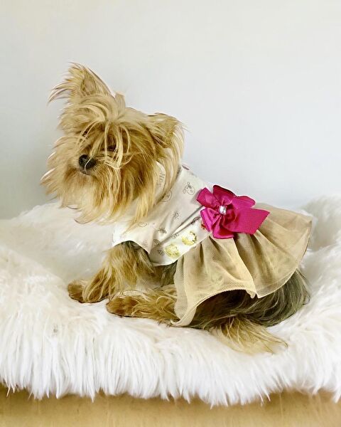 Kemique Köpek Elbisesi