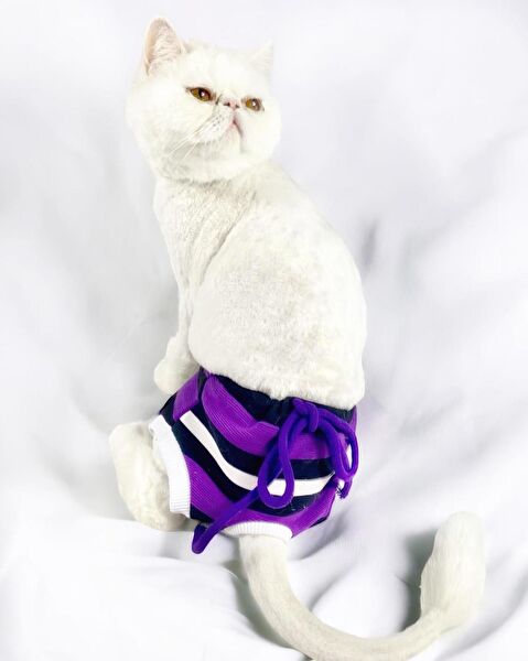 Kemique Kedi Elbisesi