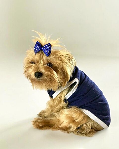 Kemique Köpek Elbisesi