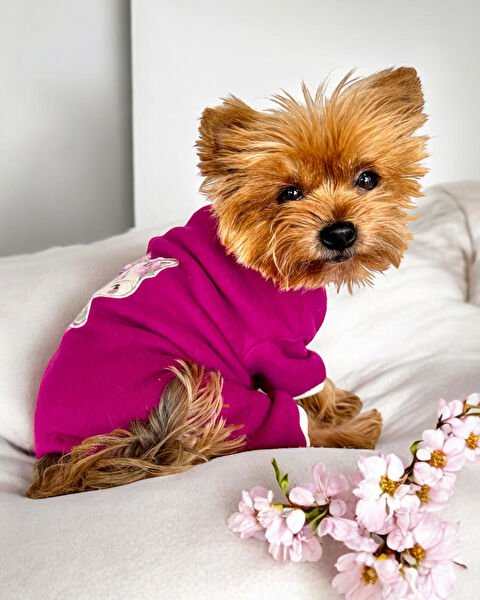 Kemique Köpek Elbisesi