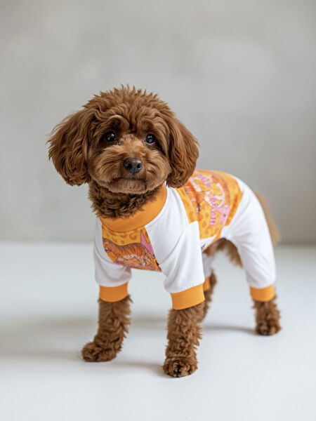 Kemique Köpek Elbisesi