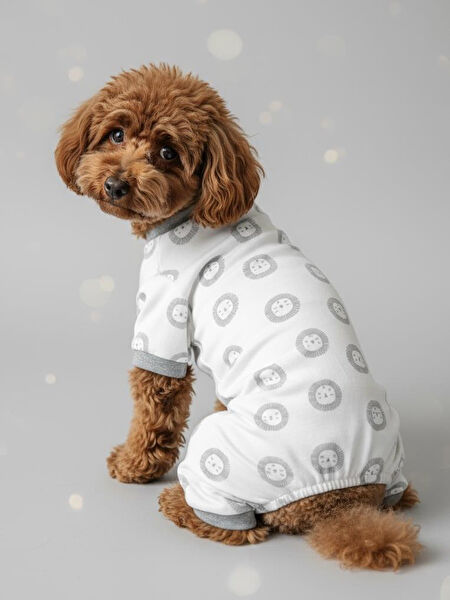 Kemique Köpek Elbisesi