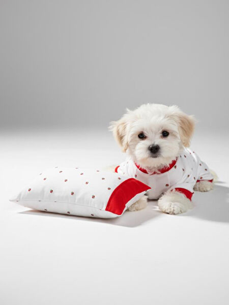 Kemique Köpek Elbisesi