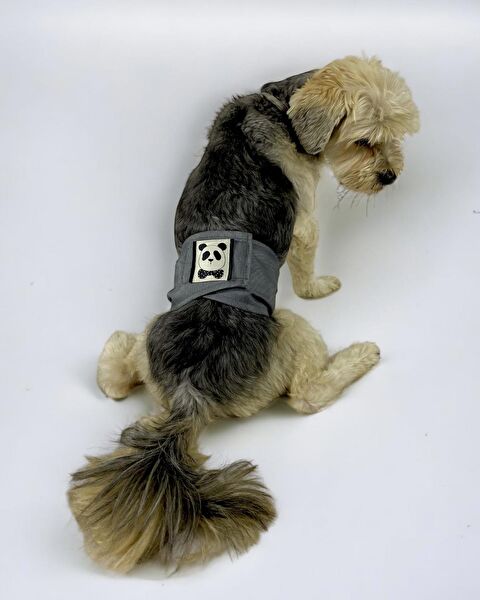 Kemique Köpek Elbisesi