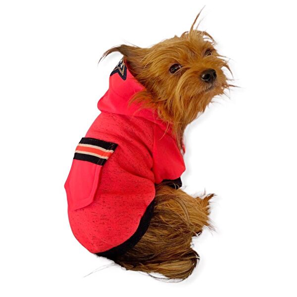 Kemique Köpek Elbisesi