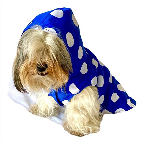 Kemique Köpek Elbisesi