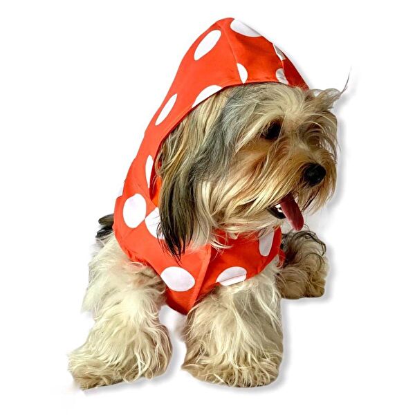 Kemique Köpek Elbisesi