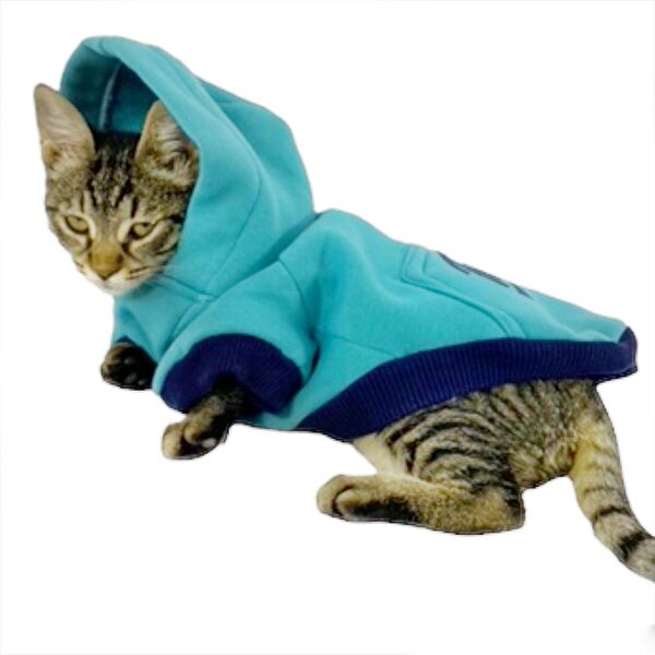 Kemique Kedi Elbisesi