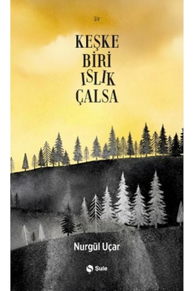Şule Yayınları Şiir Kitapları