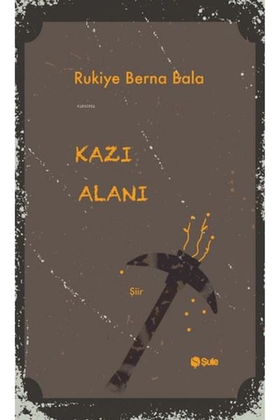 Şule Yayınları Şiir Kitapları