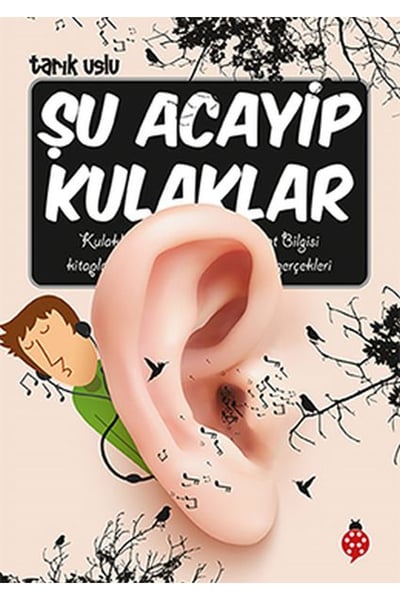 Uğurböceği Yayınları Roman Kitapları