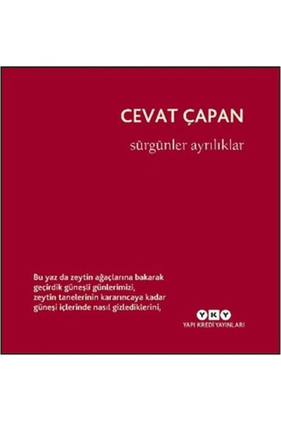 Yapı Kredi Yayınları Şiir Kitapları