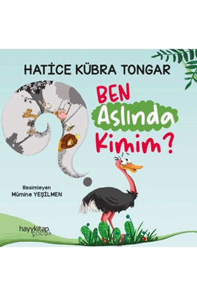 HAYY KİTAP Öykü Kitapları