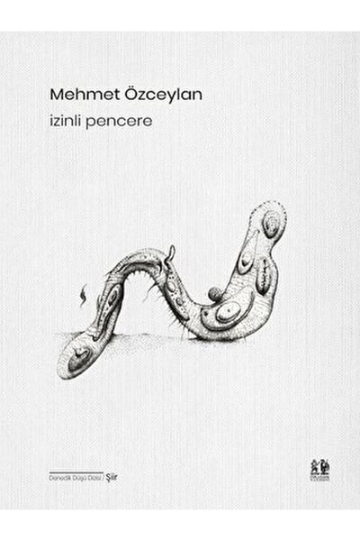 Pikaresk Yayınevi Şiir Kitapları