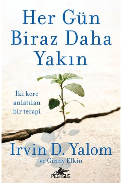 Pegasus Yayınları Deneme, İnceleme Kitapları