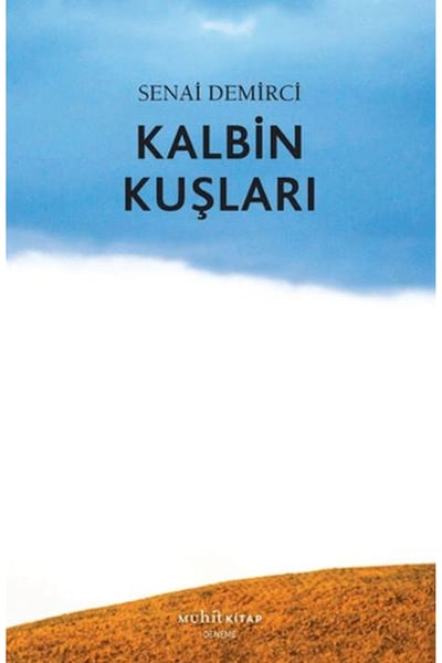 Muhit Kitap Deneme, İnceleme Kitapları