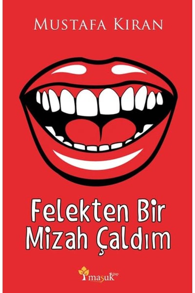 Maşuk Kitap Roman Kitapları