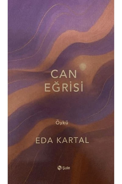 Şule Yayınları Roman Kitapları