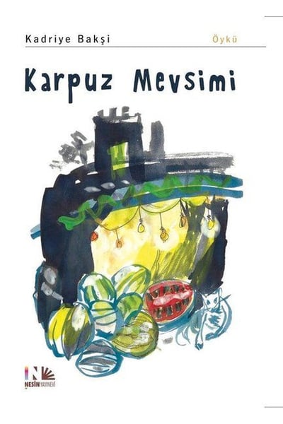 Nesin Yayınları Öykü Kitapları