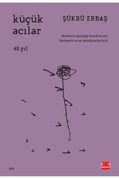 Kırmızı Kedi Yayınevi Şiir Kitapları