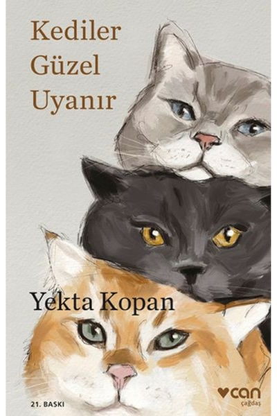 Can Sanat Yayınları Öykü Kitapları