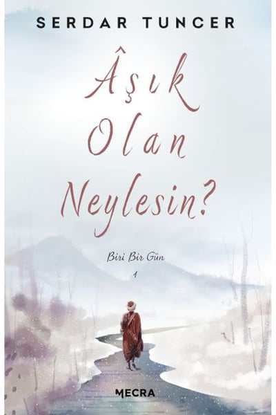 Mecra Kitap Roman Kitapları