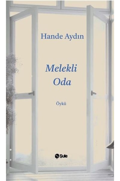 Şule Yayınları Roman Kitapları