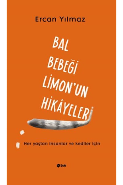 Şule Yayınları Roman Kitapları