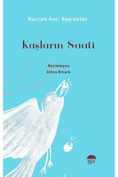 Şule Yayınları Öykü Kitapları
